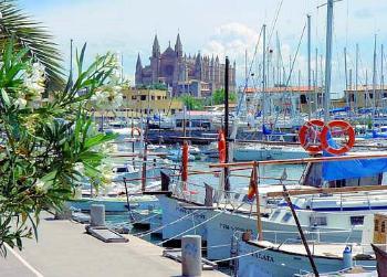 Der Yachthafen und die Kathedrale von Palma