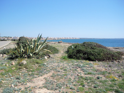 Sa Ràpita im Südosten von Mallorca